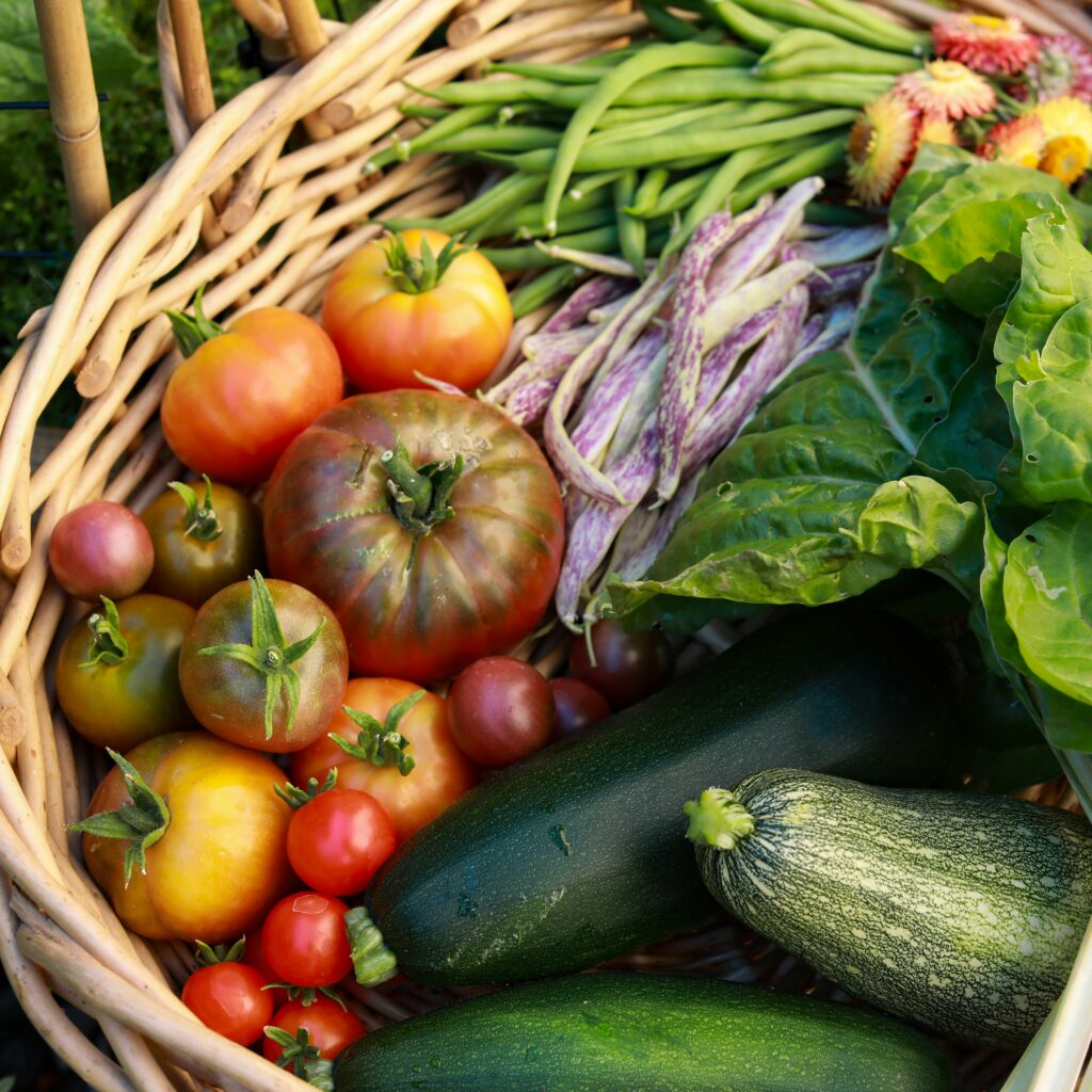 verdura da agricoltura rigenerativa: pomodori, zucchine, piselli e altri ortaggi in una cesta