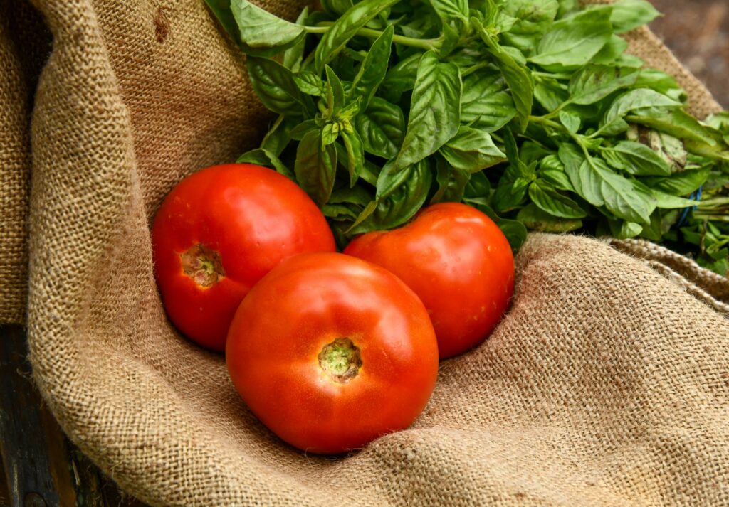 pomodori e basilico distesi su un telo di iuta.